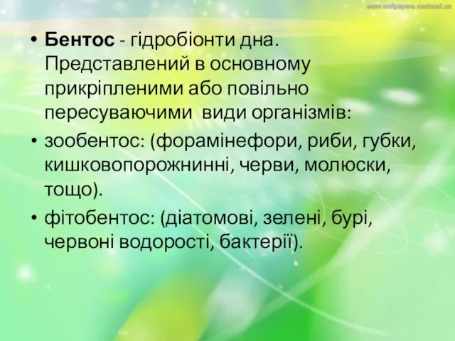 Бентос - гідробіонти дна. Представлений в основному прикріпленими або повільно пересуваючими види