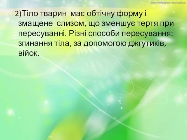 2)Тіло тварин має обтічну форму і змащене слизом, що зменшує тертя при