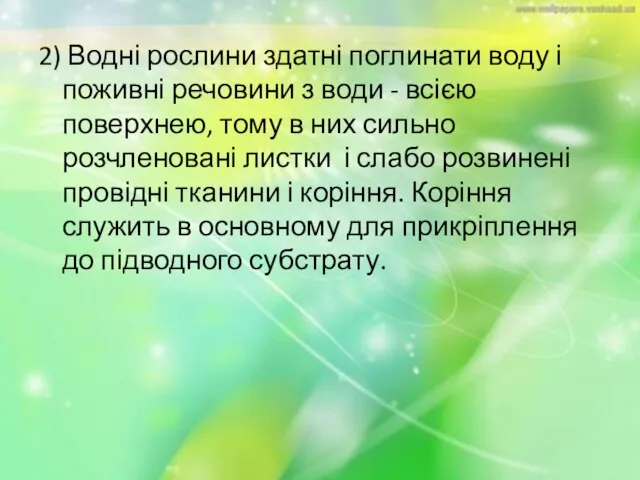 2) Водні рослини здатні поглинати воду і поживні речовини з води -