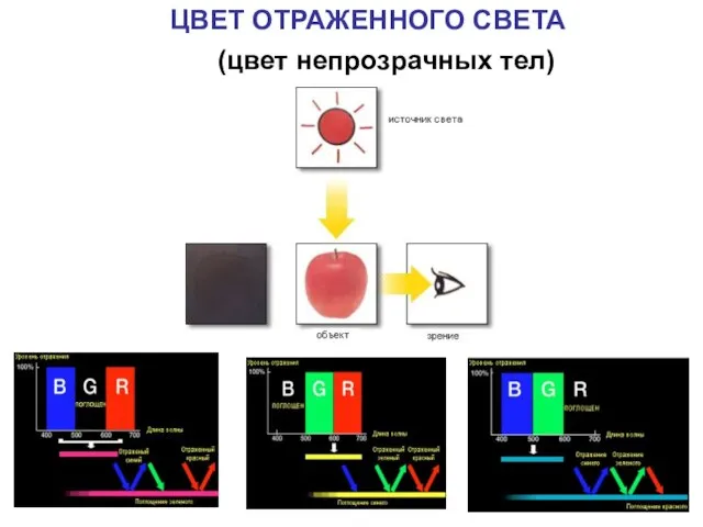 ЦВЕТ ОТРАЖЕННОГО СВЕТА (цвет непрозрачных тел)