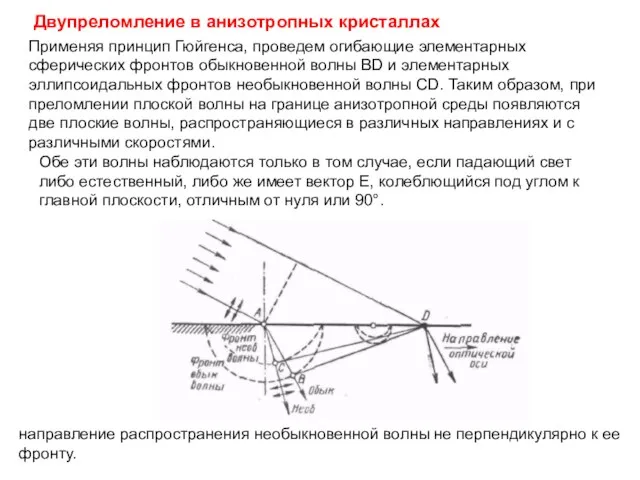 Применяя принцип Гюйгенса, проведем огибающие элементарных сферических фронтов обыкновенной волны BD и