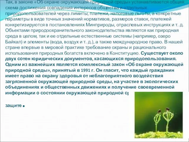 Так, в законе «Об охране окружающей природной среды» устанавливается общая схема достижения