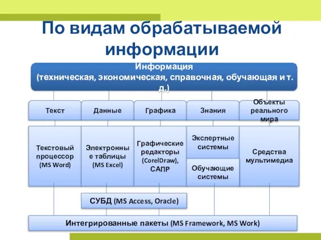 По видам обрабатываемой информации Информация (техническая, экономическая, справочная, обучающая и т.д.) Текст