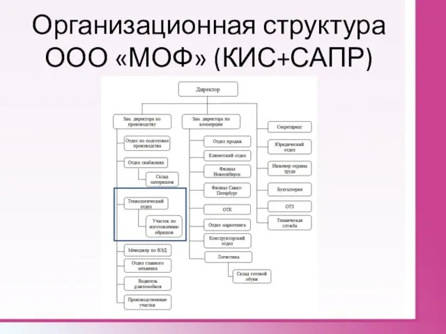 Организационная структура ООО «МОФ» (КИС+САПР)