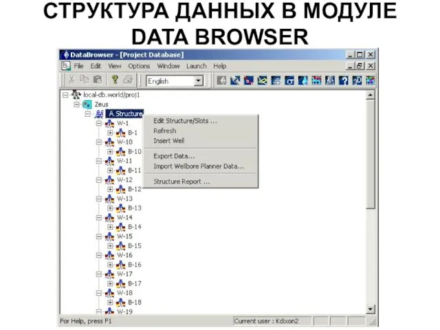 СТРУКТУРА ДАННЫХ В МОДУЛЕ DATA BROWSER