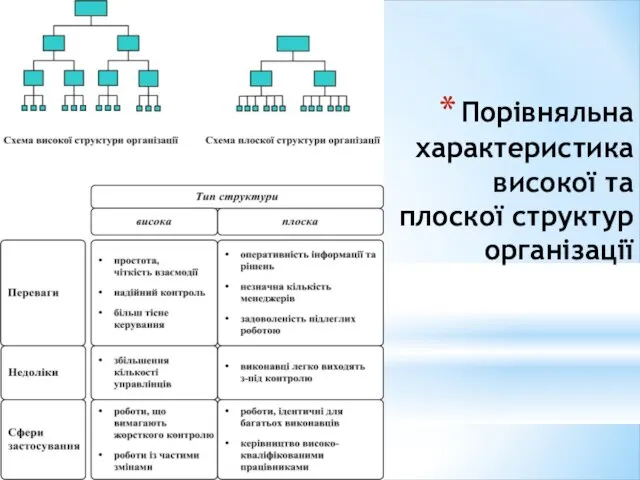 Порівняльна характеристика високої та плоскої структур організації