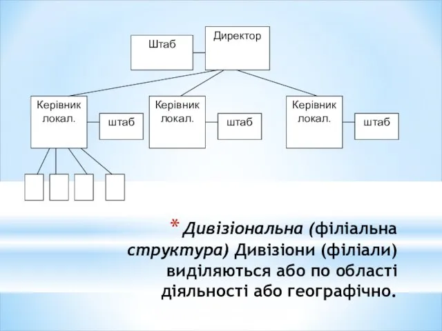 Дивізіональна (філіальна структура) Дивізіони (філіали) виділяються або по області діяльності або географічно.