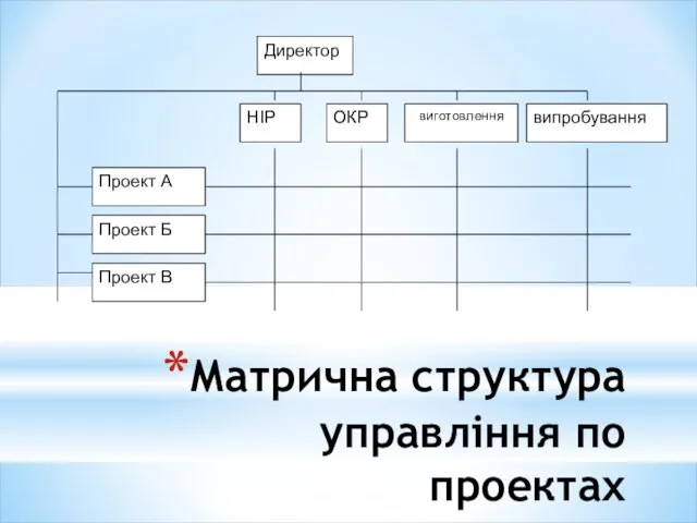 Матрична структура управління по проектах