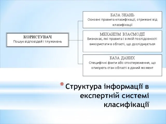 Структура інформації в експертній системі класифікації