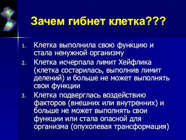 Зачем гибнет клетка??? Клетка выполнила свою функцию и стала ненужной организму Клетка