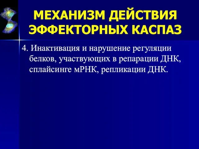 4. Инактивация и нарушение регуляции белков, участвующих в репарации ДНК, сплайсинге мРНК,