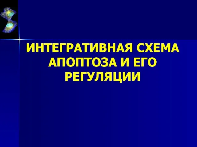 ИНТЕГРАТИВНАЯ СХЕМА АПОПТОЗА И ЕГО РЕГУЛЯЦИИ