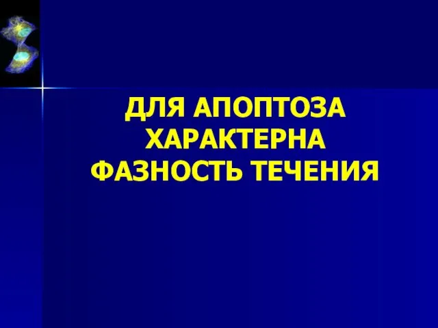 ДЛЯ АПОПТОЗА ХАРАКТЕРНА ФАЗНОСТЬ ТЕЧЕНИЯ