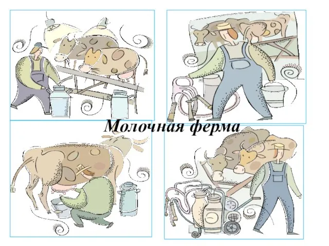 Молочная ферма