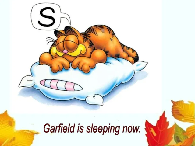 Garfield is sleeping now.