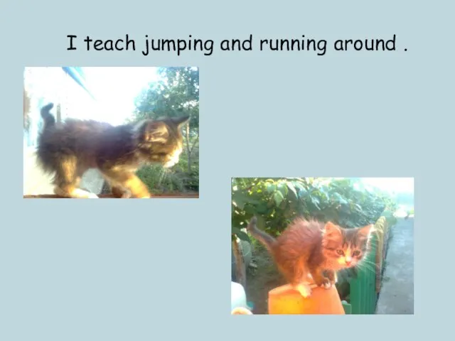 I teach jumping and running around .
