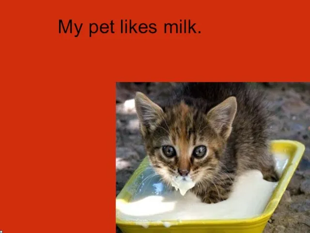 My pet likes milk.