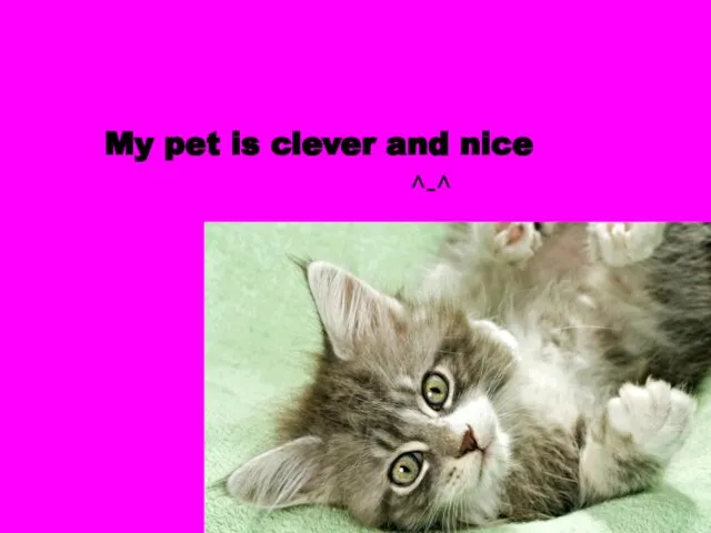 My pet is clever and nice ^-^