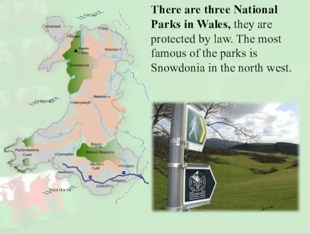 There are three National Parks in Wales, they are protected by law.