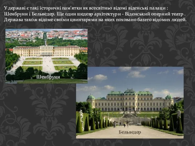 У державі є такі історичні пам'ятки як всесвітньо відомі віденські палаци :