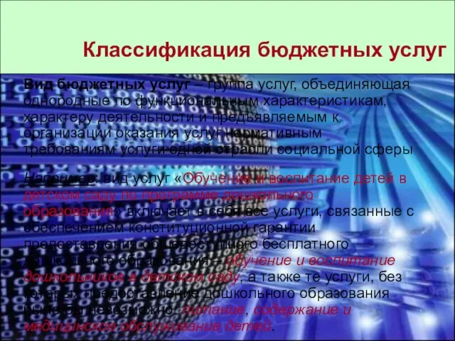 Вид бюджетных услуг – группа услуг, объединяющая однородные по функциональным характеристикам, характеру