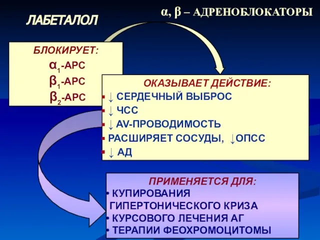 α, β – АДРЕНОБЛОКАТОРЫ ЛАБЕТАЛОЛ БЛОКИРУЕТ: α1-АРС β1-АРС β2-АРС ОКАЗЫВАЕТ ДЕЙСТВИЕ: ↓