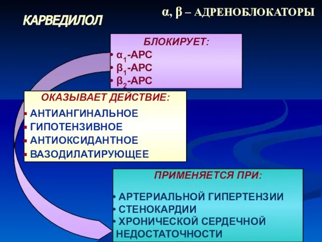 ОКАЗЫВАЕТ ДЕЙСТВИЕ: АНТИАНГИНАЛЬНОЕ ГИПОТЕНЗИВНОЕ АНТИОКСИДАНТНОЕ ВАЗОДИЛАТИРУЮЩЕЕ БЛОКИРУЕТ: α1-АРС β1-АРС β2-АРС ПРИМЕНЯЕТСЯ ПРИ: