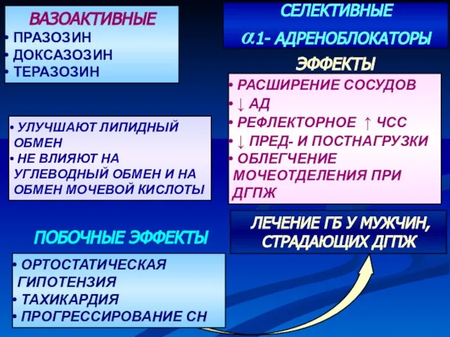 СЕЛЕКТИВНЫЕ α1- АДРЕНОБЛОКАТОРЫ ВАЗОАКТИВНЫЕ ПРАЗОЗИН ДОКСАЗОЗИН ТЕРАЗОЗИН УЛУЧШАЮТ ЛИПИДНЫЙ ОБМЕН НЕ ВЛИЯЮТ