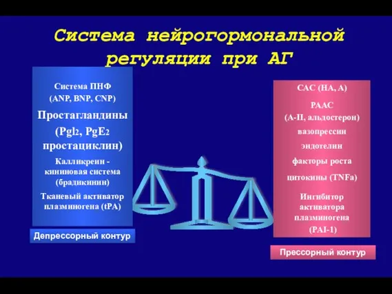 Система нейрогормональной регуляции при АГ Депрессорный контур Прессорный контур