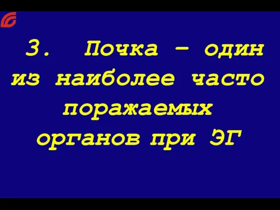 3. Почка – один из наиболее часто поражаемых органов при ЭГ