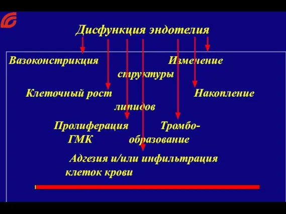 Вазоконстрикция Изменение структуры Клеточный рост Накопление липидов Пролиферация Тромбо- ГМК образование Адгезия