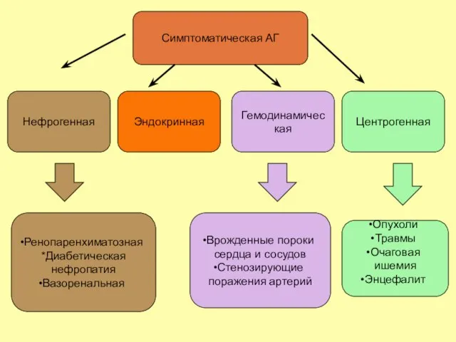 Симптоматическая АГ Нефрогенная Эндокринная Гемодинамическая Центрогенная Ренопаренхиматозная *Диабетическая нефропатия Вазоренальная Врожденные пороки