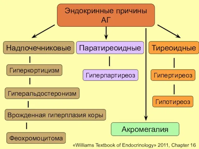 Эндокринные причины АГ Надпочечниковые Тиреоидные Паратиреоидные Феохромоцитома Гиперкортицизм Гиперальдостеронизм Гипотиреоз Гипертиреоз Гиперпартиреоз