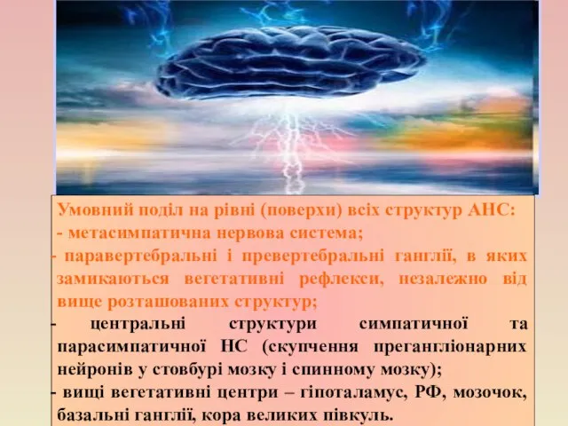 Умовний поділ на рівні (поверхи) всіх структур АНС: - метасимпатична нервова система;