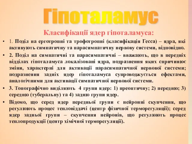 Класифікації ядер гіпоталамуса: 1. Поділ на ерготропні та трофотропні (класифікація Гесса) –