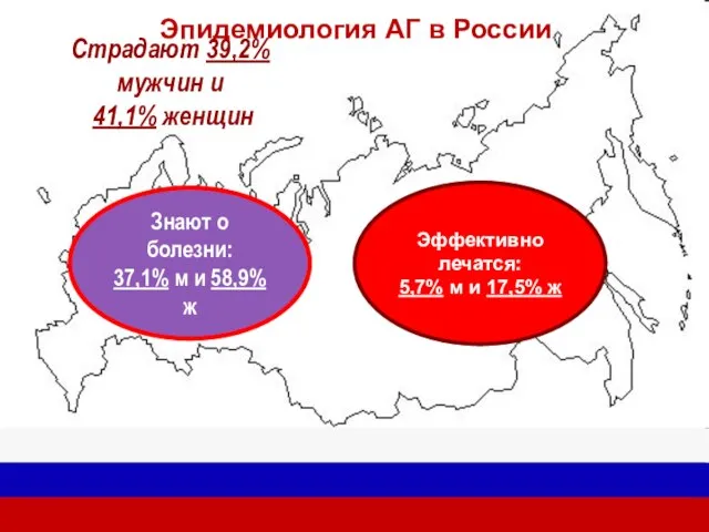 Эпидемиология АГ в России Страдают 39,2% мужчин и 41,1% женщин Знают о