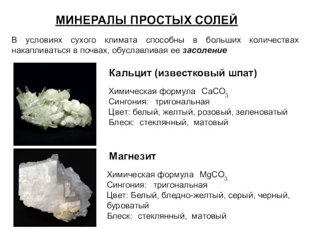 МИНЕРАЛЫ ПРОСТЫХ СОЛЕЙ В условиях сухого климата способны в больших количествах накапливаться