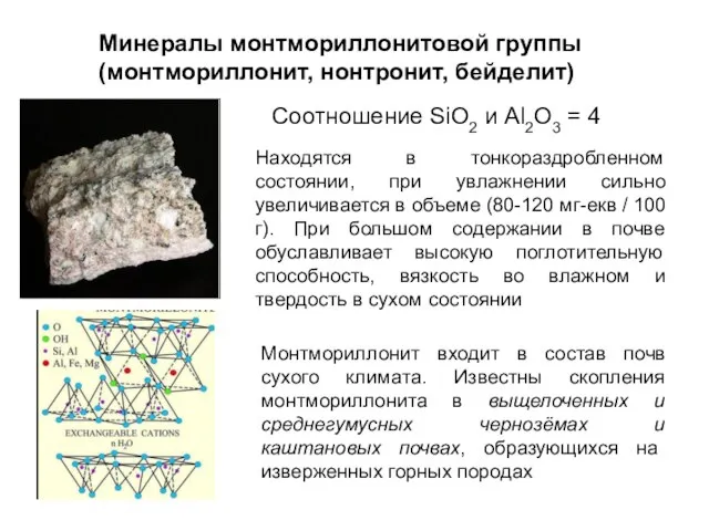 Находятся в тонкораздробленном состоянии, при увлажнении сильно увеличивается в объеме (80-120 мг-екв