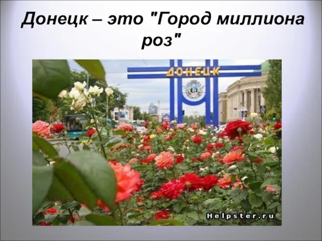 Донецк – это "Город миллиона роз"