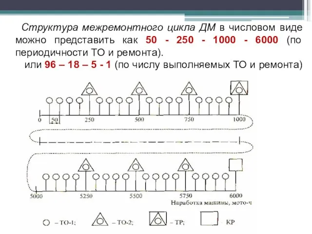 Структура межремонтного цикла ДМ в числовом виде можно представить как 50 -