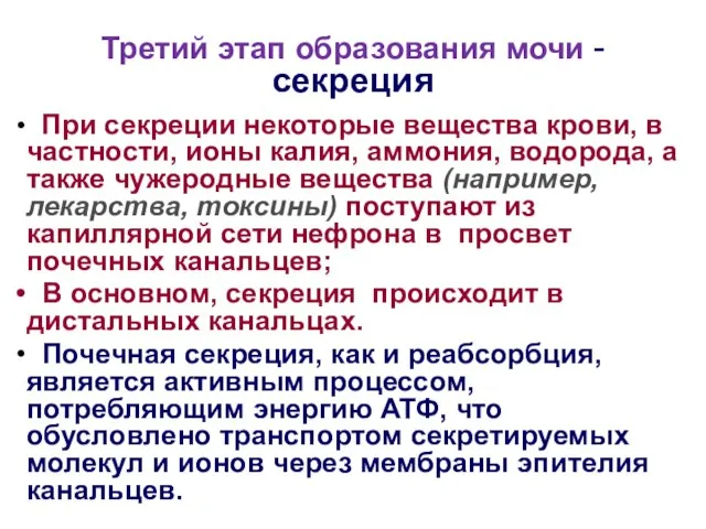 Третий этап образования мочи - секреция При секреции некоторые вещества крови, в