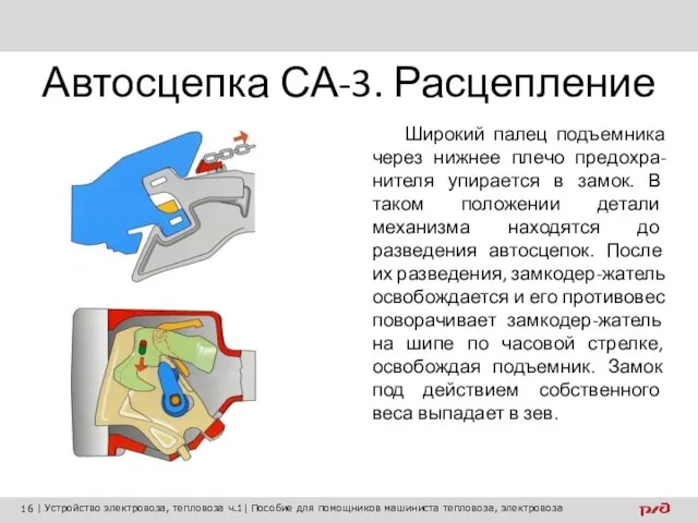 Автосцепка СА-3. Расцепление Широкий палец подъемника через нижнее плечо предохра-нителя упирается в