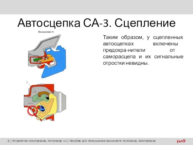 Автосцепка СА-3. Сцепление Таким образом, у сцепленных автосцепках включены предохра-нители от саморасцепа