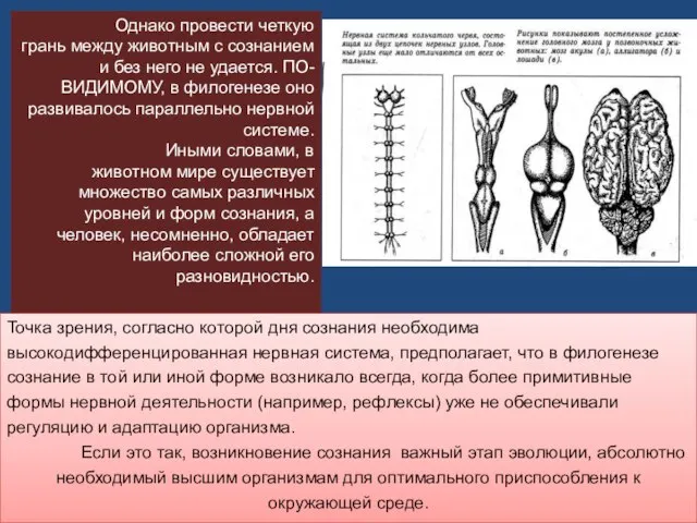 Однако провести четкую грань между животным с сознанием и без него не