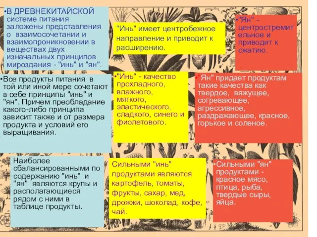 В ДРЕВНЕКИТАЙСКОЙ системе питания заложены представления о взаимосочетании и взаимопроникновении в веществах