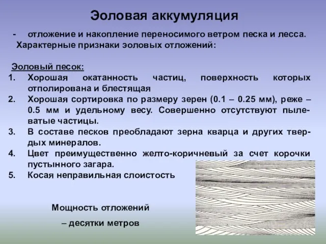 Эоловая аккумуляция отложение и накопление переносимого ветром песка и лесса. Характерные признаки