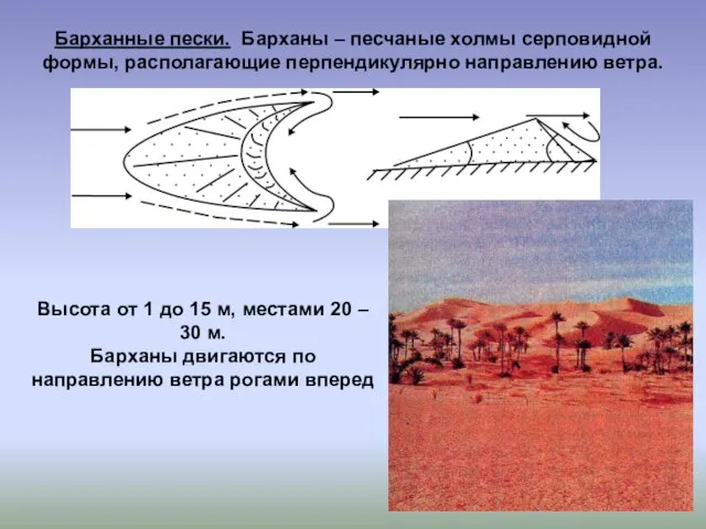 Барханные пески. Барханы – песчаные холмы серповидной формы, располагающие перпендикулярно направлению ветра.