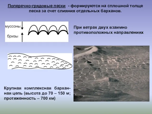 Поперечно-грядовые пески - формируются на сплошной толще песка за счет слияния отдельных