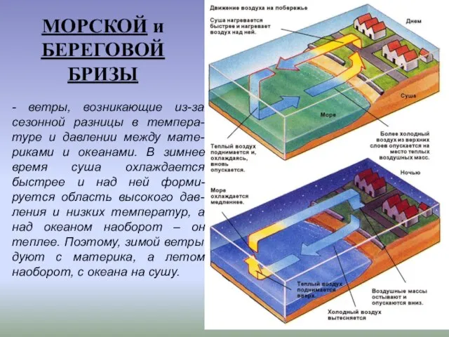 МОРСКОЙ и БЕРЕГОВОЙ БРИЗЫ - ветры, возникающие из-за сезонной разницы в темпера-туре