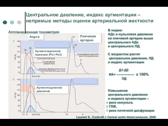 Центральное давление, индекс аугментации – непрямые методы оценки артериальной жесткости Аорта Плечевая